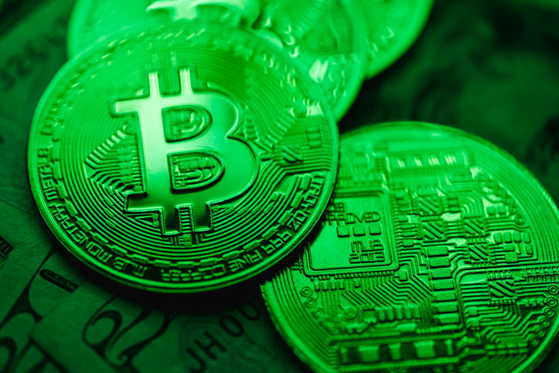 Blockchain Bulls: de nummer één crypto community van Nederland & België